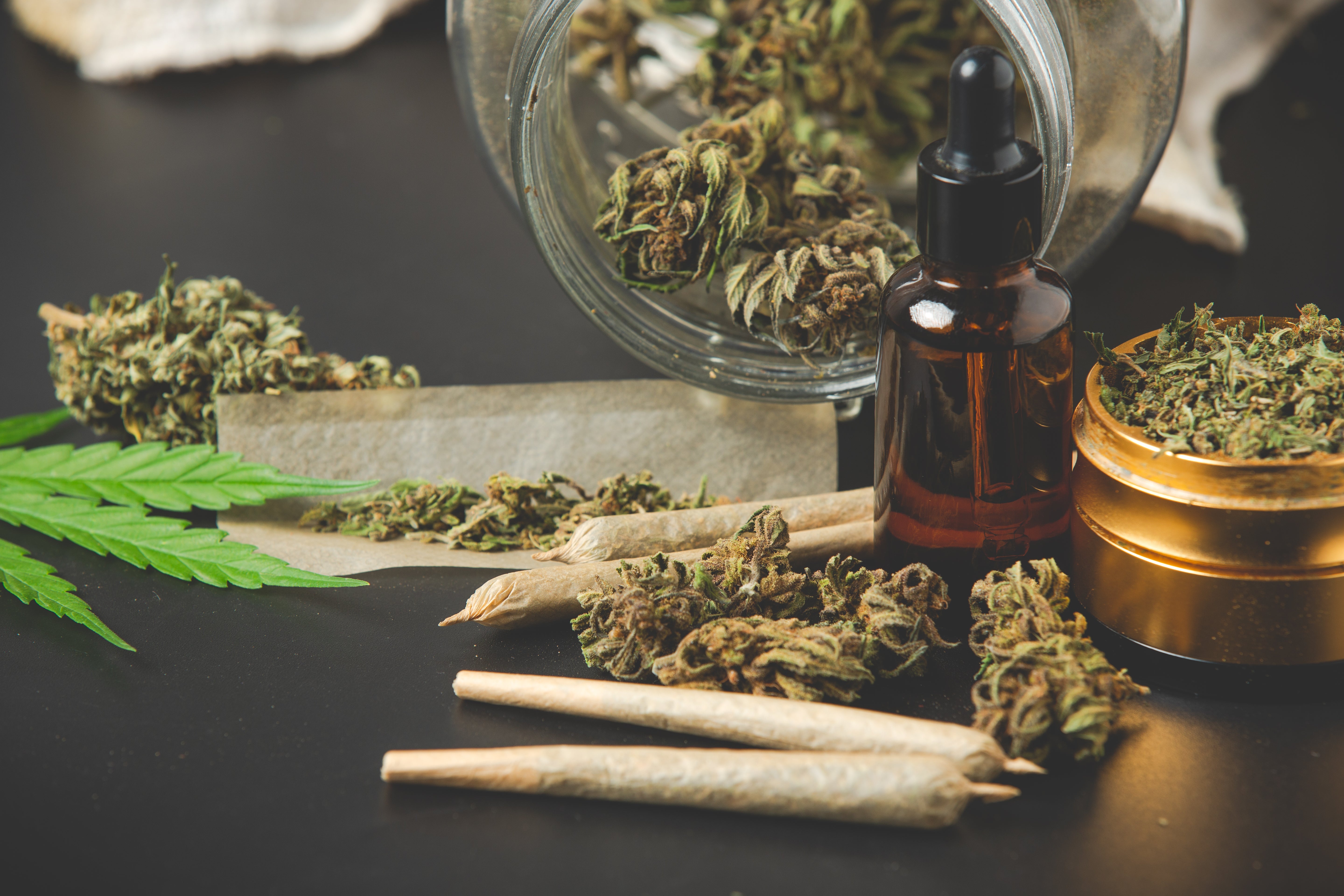 Beginner’s Guide to Cannabis: What You Need to Know Before Visiting a Dispensary